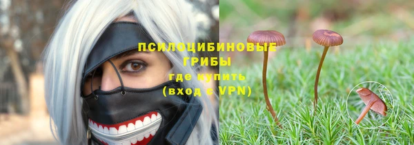 сатива Абинск