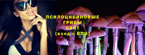 а пвп мука Абаза