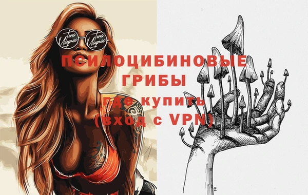 сатива Абинск