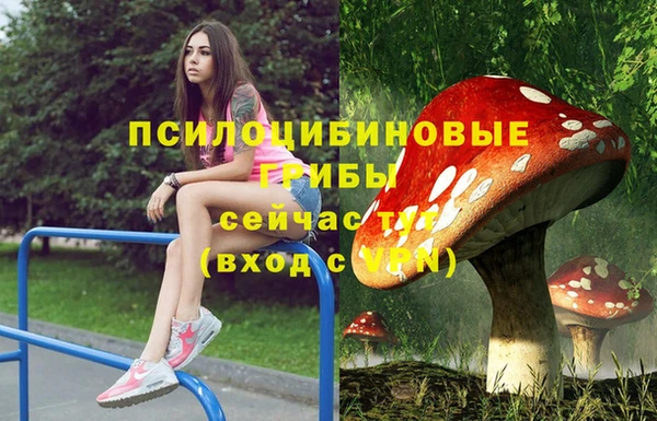 а пвп мука Абаза