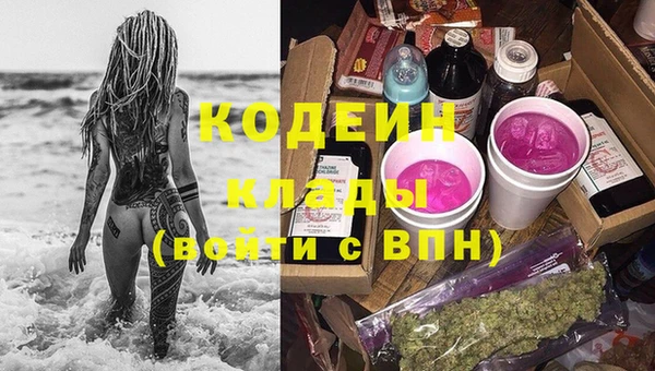 сатива Абинск