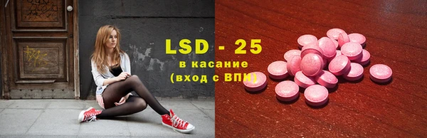 ECSTASY Горняк